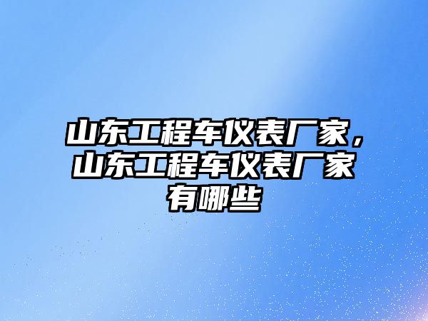 山东工程车仪表厂家，山东工程车仪表厂家有哪些
